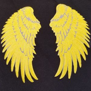 1 pair yellow wings